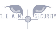 ico-logo-team-security.jpg